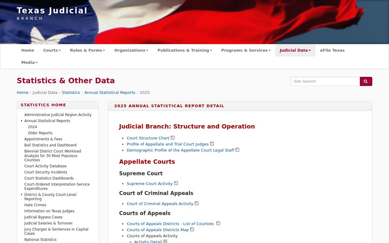 Texas court statistics for Midland County criminal case records